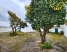 AAFADP876_32142_V0_5297.jpg