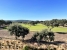 AAFADP879_32247_V0_65DD.jpg