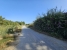 21-2c707e7c511429b4f8ec4ee5f221ddb6.jpg
