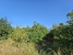 9-467d0cee5b725f3ef65f102a0c2e69c0.jpg