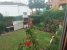 4-c23c0f86247804fa50226aecd8b0b2c8.jpg