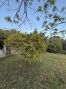 58-f216ef5a4348ce69a3d78ee72f4b3bc2.jpg